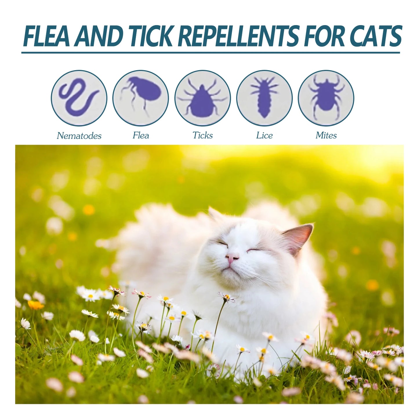 YEGBONG Anti Flea Tick Drops for Cats and Dogs