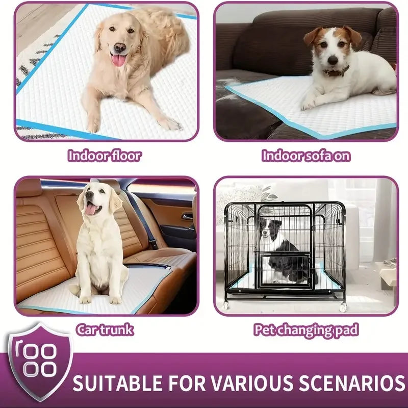 NONEDog Premium Disposable Dog Training Pads Super Absorbent Leakproof