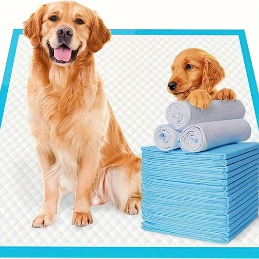 NONEDog Premium Disposable Dog Training Pads Super Absorbent Leakproof